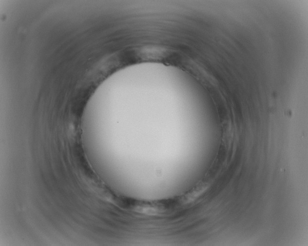 X0000083060655200702232022