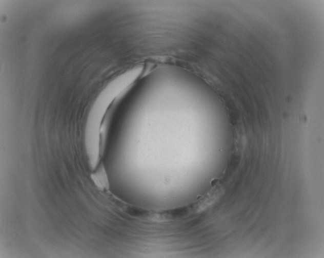 X0000083060656200702232022