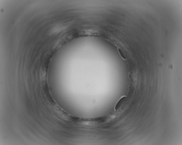 X0000083060657200702232022