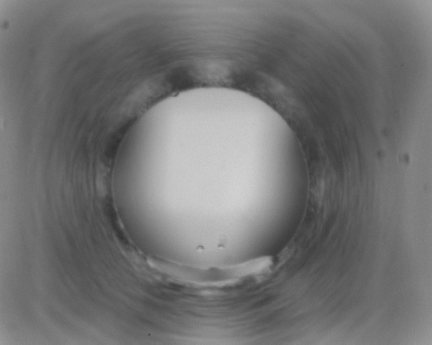 X0000083060658200702232022