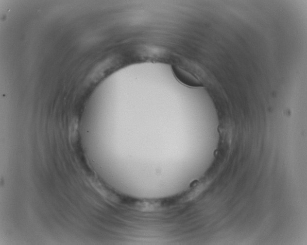 X0000083060660200702232022