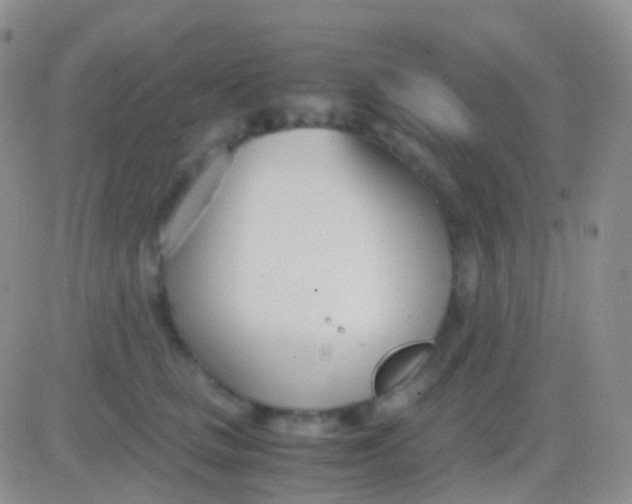 X0000083060661200702232022