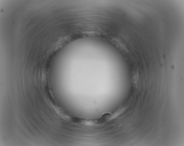 X0000083060662200702232022