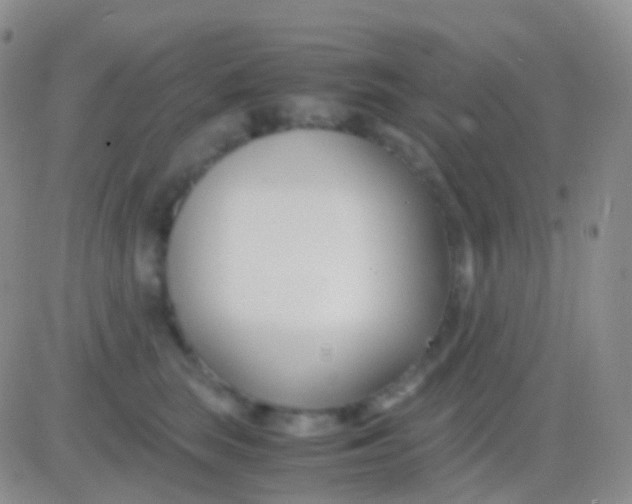 X0000083060663200702232022