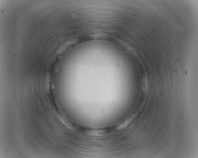 X0000083060664200702232022