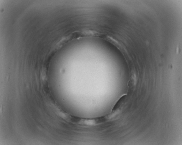 X0000083060665200702232022