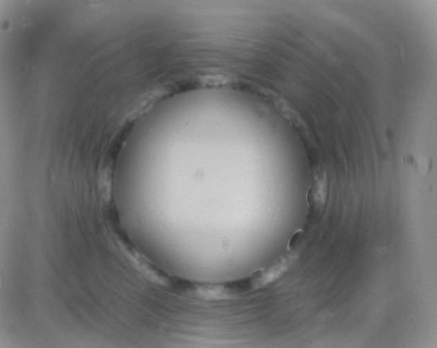 X0000083060666200702232023