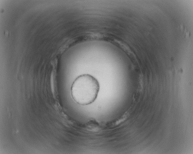 X0000083060667200702232023