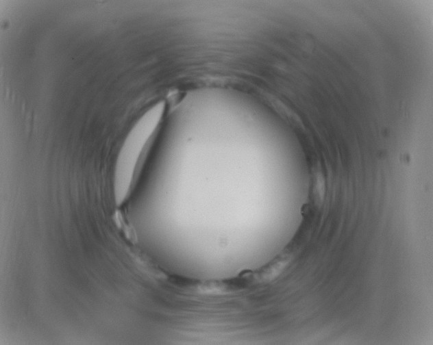 X0000083060668200702232023