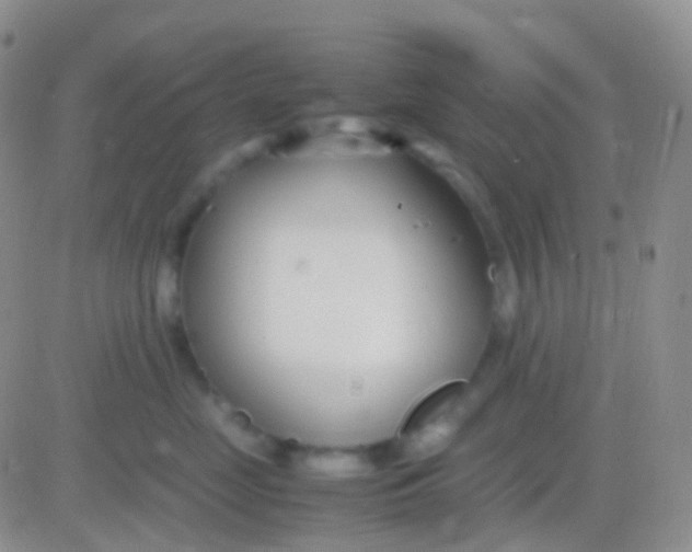 X0000083060669200702232023