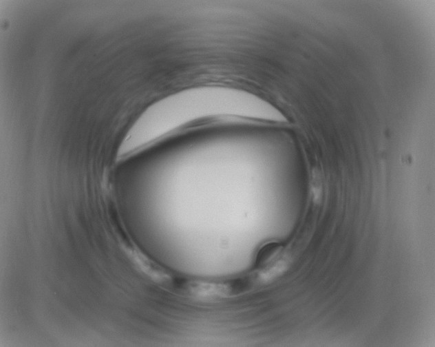 X0000083060670200702232023