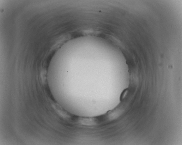 X0000083060671200702232023