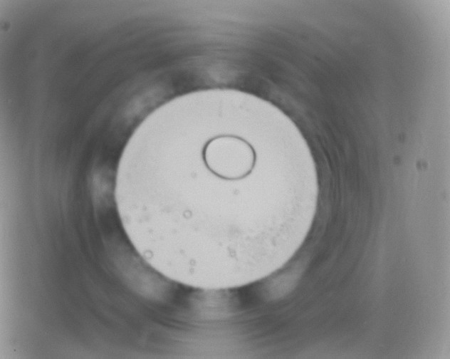 X0000083060672200702232023