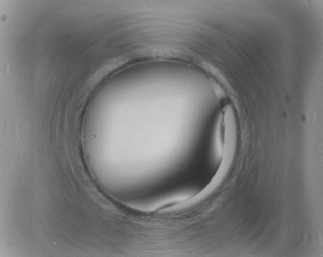 X0000083060673200702232022