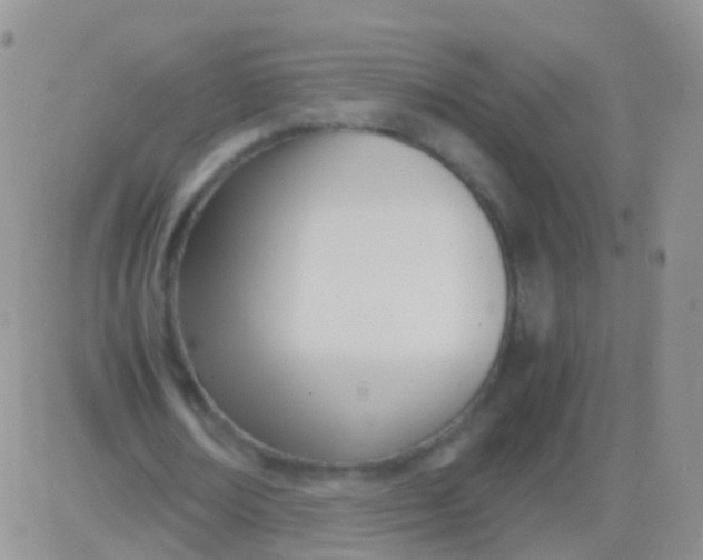 X0000083060674200702232022