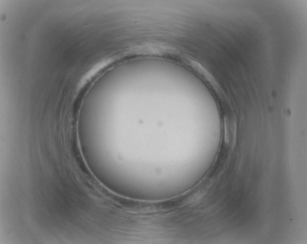 X0000083060675200702232022