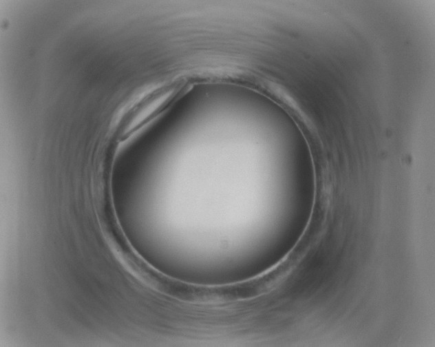 X0000083060677200702232022