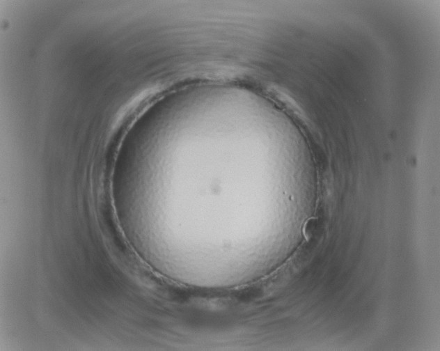 X0000083060679200702232022