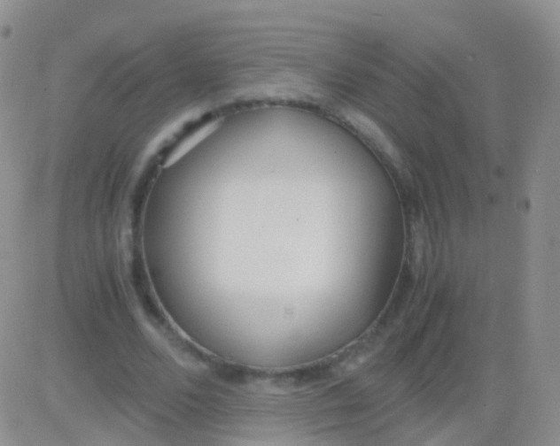 X0000083060680200702232022