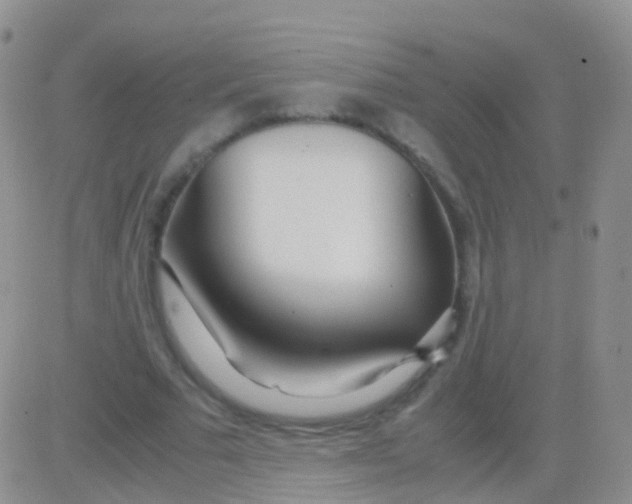 X0000083060681200702232022