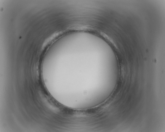 X0000083060682200702232022