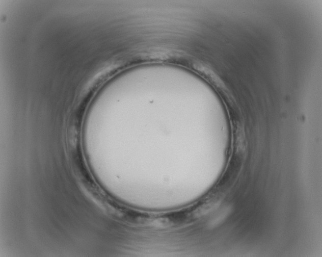 X0000083060683200702232022