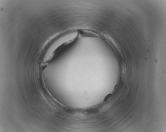 X0000083060684200702232022