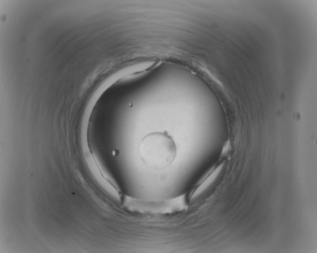 X0000083060685200702232022