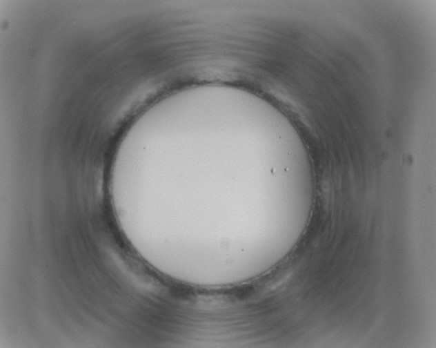 X0000083060686200702232022