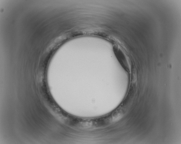 X0000083060687200702232022