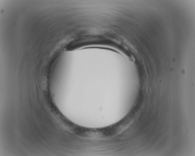 X0000083060689200702232022