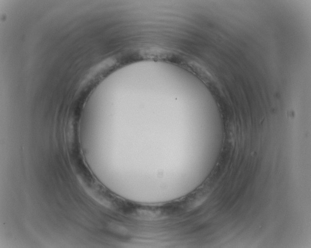 X0000083060690200702232022