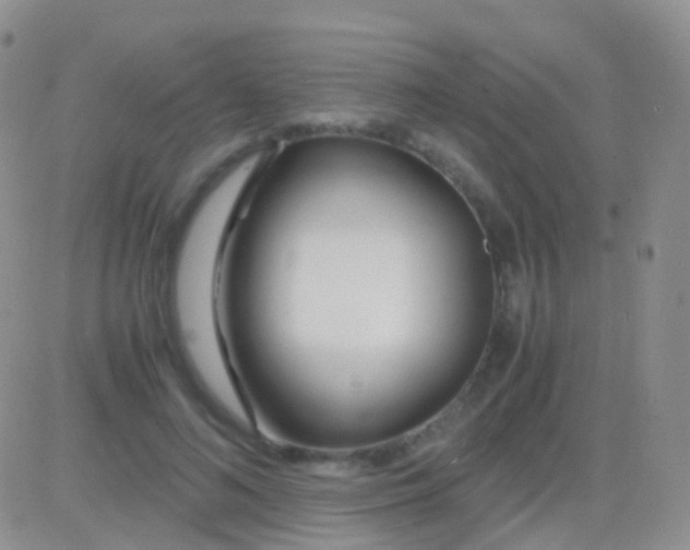 X0000083060692200702232021