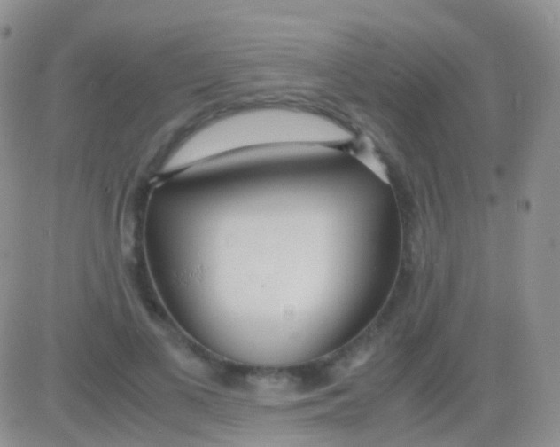 X0000083060693200702232021