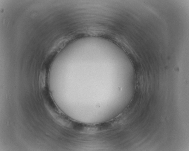 X0000083060694200702232021