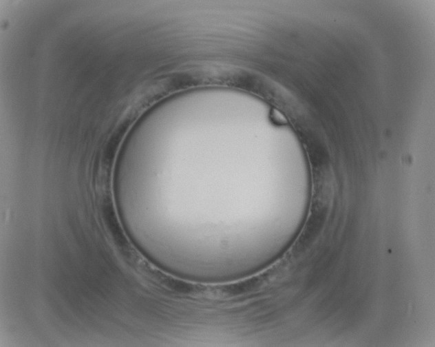 X0000083060695200702232021