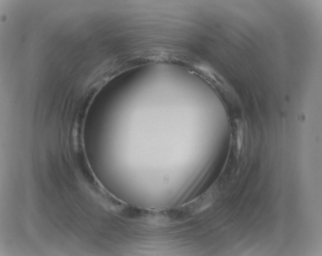 X0000083060696200702232021