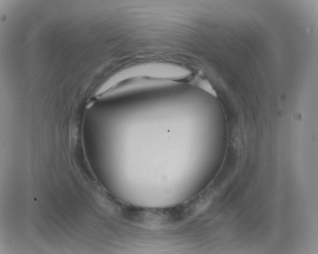 X0000083060697200702232021