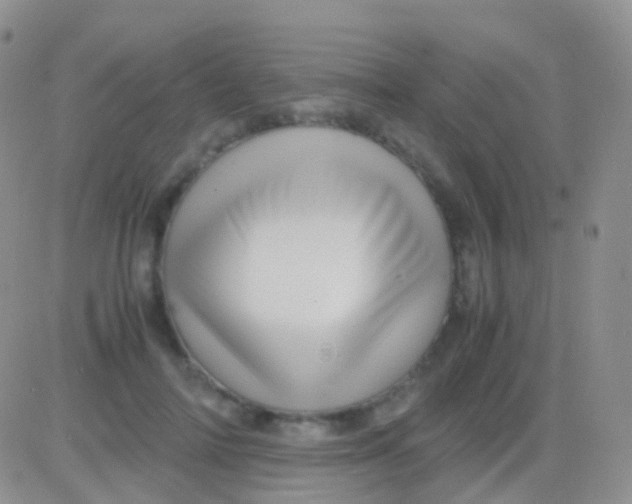 X0000083060698200702232021