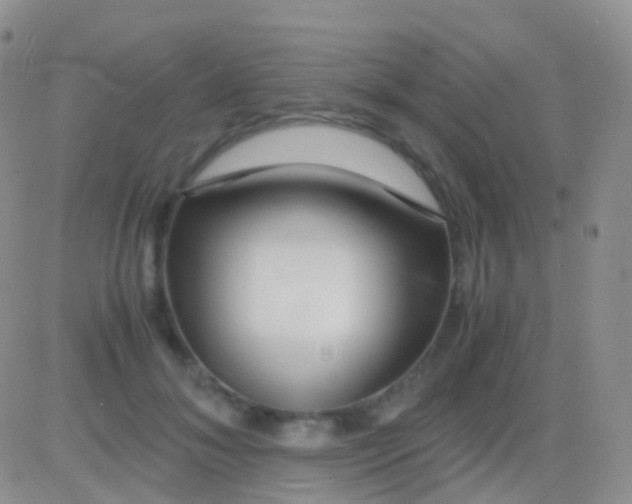 X0000083060700200702232021