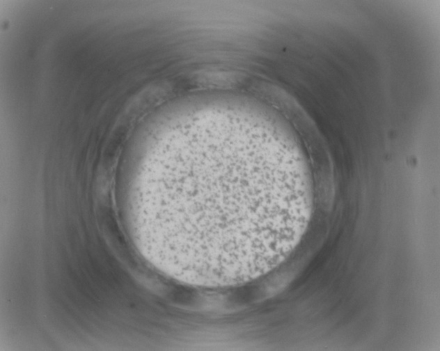 X0000083060701200702232021