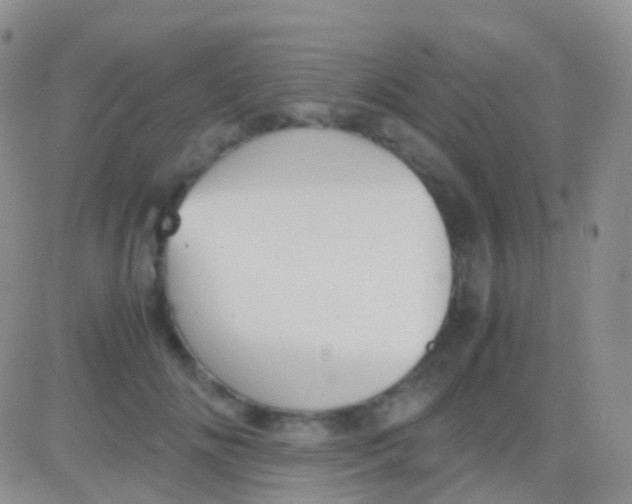 X0000083060702200702232021