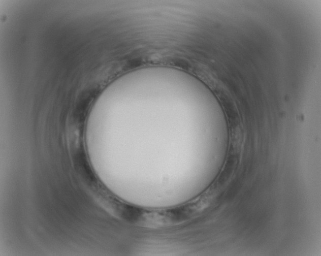 X0000083060703200702232021