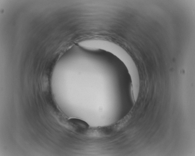 X0000083060704200702232021