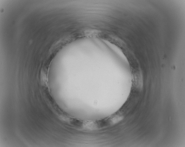 X0000083060705200702232021