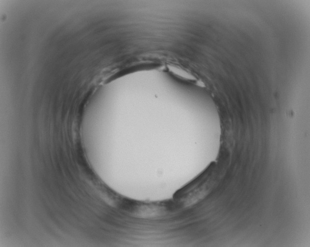 X0000083060708200702232021