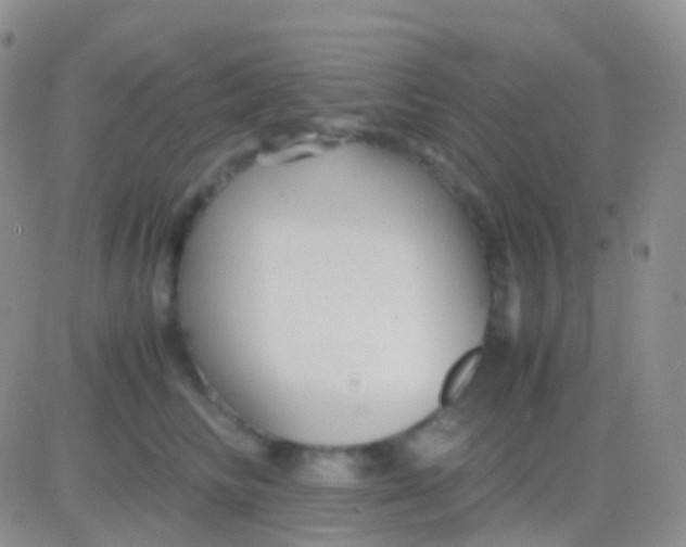 X0000083060710200702232021