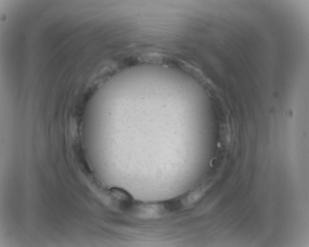 X0000083060711200702232021