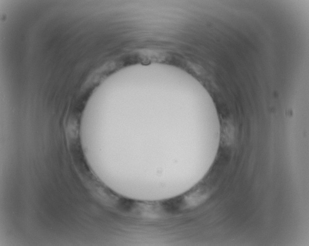 X0000083060713200702232021