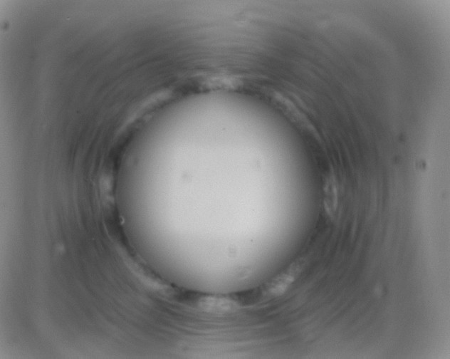 X0000083060714200702232021